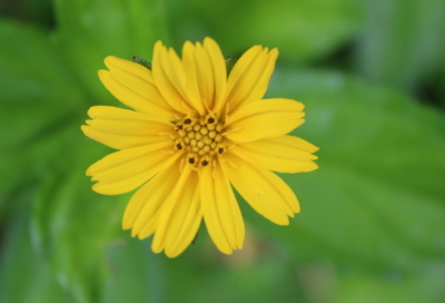 ​想放弃又舍不得的说说251句