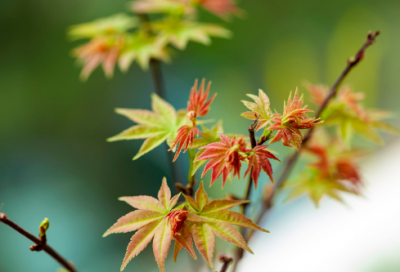 ​心情不好的短句子说说252句