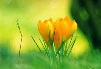 ​微波炉架好评150个