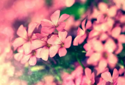 ​关于老师爱岗敬业主题演讲稿