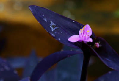 ​五一搞笑说说256句