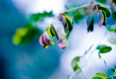 ​女士卫衣好评89个