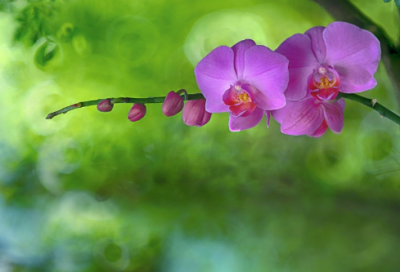 ​六一儿童节给孩子一封信