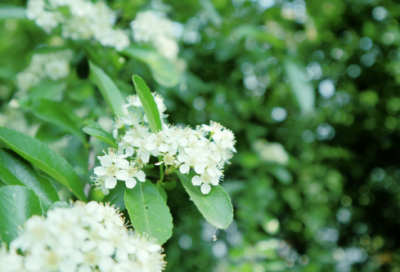 ​清明网上祭英烈的留言寄语211个