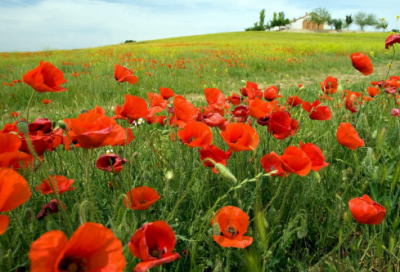 ​高中地理教师心得