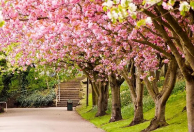 ​元旦海报宣传语简短211个