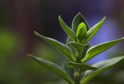 ​写给父亲催泪的话简短257句