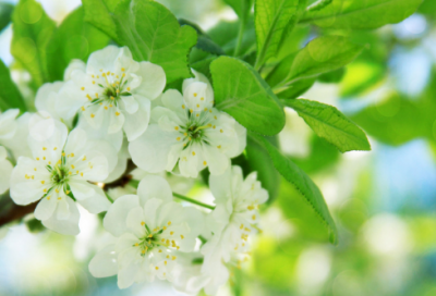 ​给同事好友的离别赠言大全