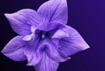 ​城南旧事好词好句119个