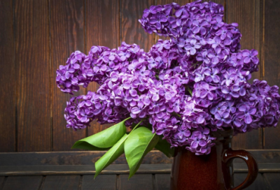 ​走进霍金的宇宙世界观后感