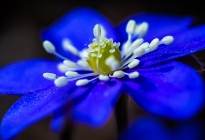 ​亲子活动心得体会