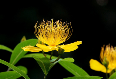 ​知己难求的经典语录235句