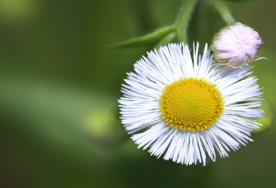 ​综艺节目变形记的观后感