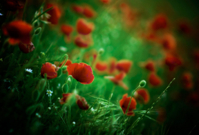 ​立春节气寄语简短一句话225个