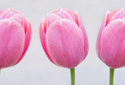 ​一个人女人最好的状态说说184句