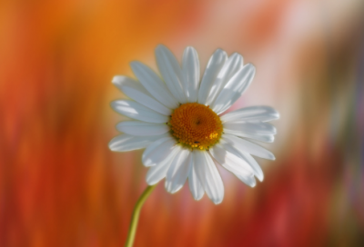 ​半身裙好评180字