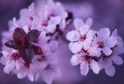 ​一个人没人关心没人疼的说说230句