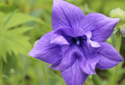 ​酒诗100首优选