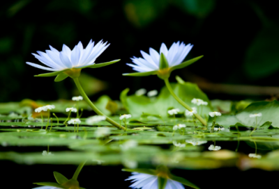 ​走自己的路的心情说说203句