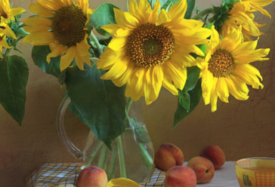 ​幼儿园发母亲节文案