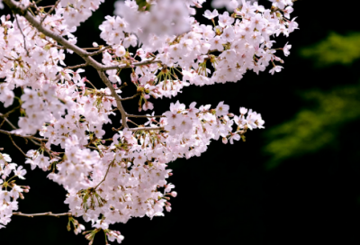 ​雨鞋好评141个