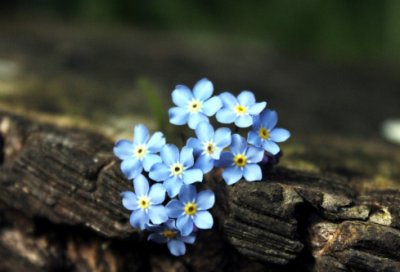​青年大学习第九季第一期个人心得精选