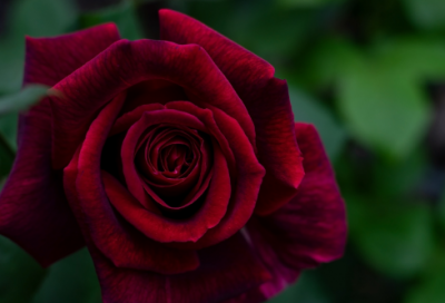 ​七夕的朋友圈文案210个