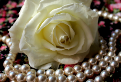 ​名著读书心得