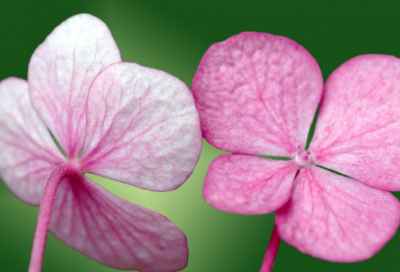 ​土地租赁协议书范本