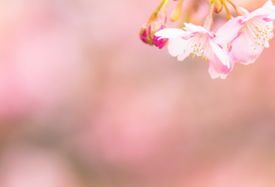 ​冬至文案大全最新233个