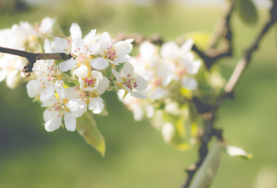 ​电工培训心得体会