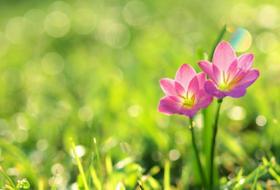 ​幼儿园重阳节发给家长的文案179个