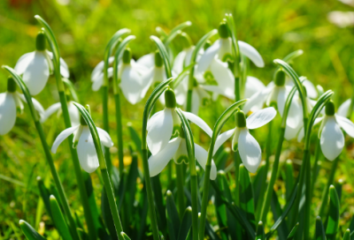 ​不忘国耻振兴中华演讲稿100字