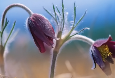 ​工程机械设备租赁合同范本