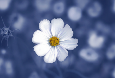 ​关于7年的爱情语句215句