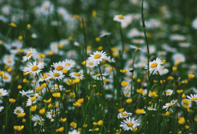 ​送别诗大全100首精选