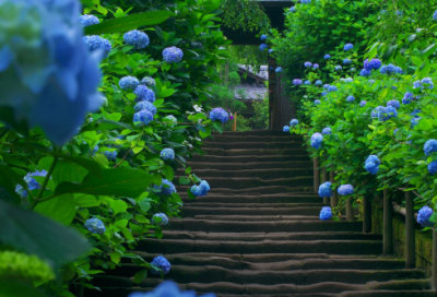 ​电影《亲密旅行》观后感