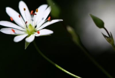 ​旅游发圈的简单一句话224个