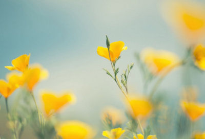 ​化验室安全心得体会