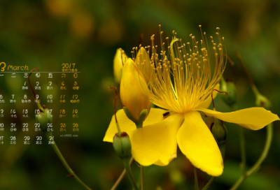 ​函授毕业证书