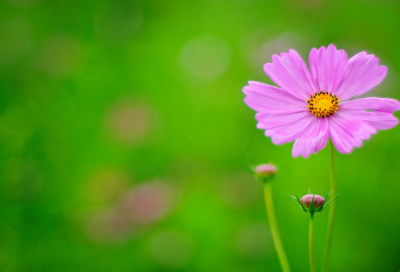 ​描写人物心情的成语