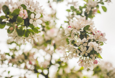 ​赠言大全220个