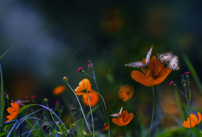 ​开学第一周日记