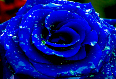 ​足浴老师培训计划4篇