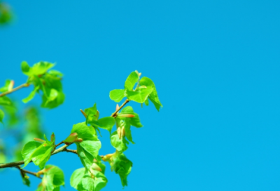 ​李宁T恤好评83个