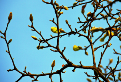 ​傲慢与偏见电影观后感100字