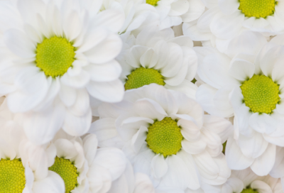 ​情人节怎么发朋友圈幽默搞笑207个