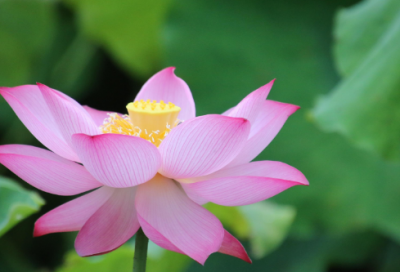 ​个人述职报告开头100字精选