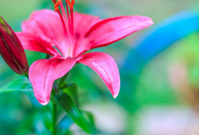 ​金工实习心得体会