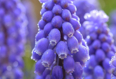 ​猜谜语稀奇稀奇真稀奇